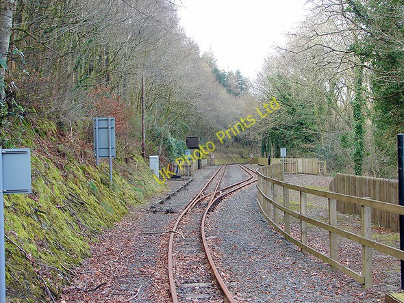 Photo 6"x4" Aberffrwd station, Vale of Rheidol Railway Aberffrwd\/SN6878 c2008