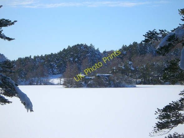 Photo 6"x4" Castle on Loch an Eilein Doune\/NH8809 c2010