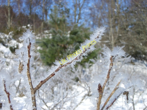 Photo 6"x4" Ice crystals, Loch an Eilein Doune\/NH8809 c2010