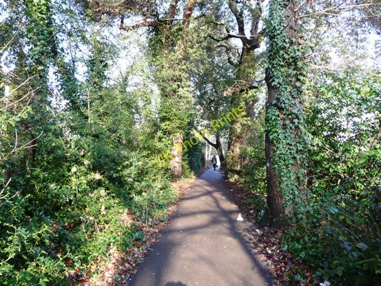 Photo 6"x4" Tree-lined path along Romsey Road Maybush c2010