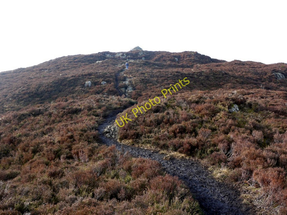 Photo 6"x4" Path to Screel summit Gelston\/NX7658 c2010