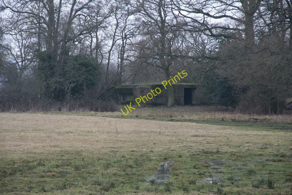 Photo 6"x4" Another wood another pillbox Tidmarsh c2010