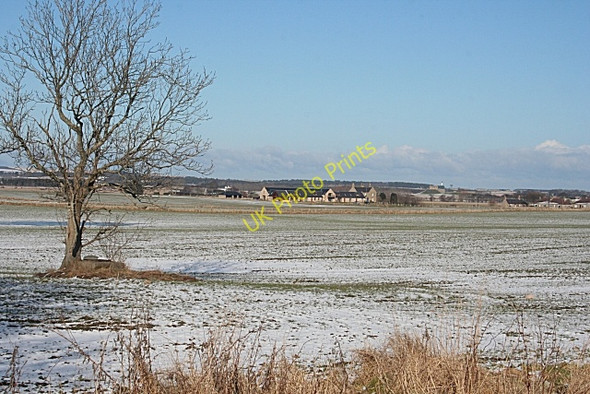 Photo 6"x4" Near Loanhead Quarrywood c2010