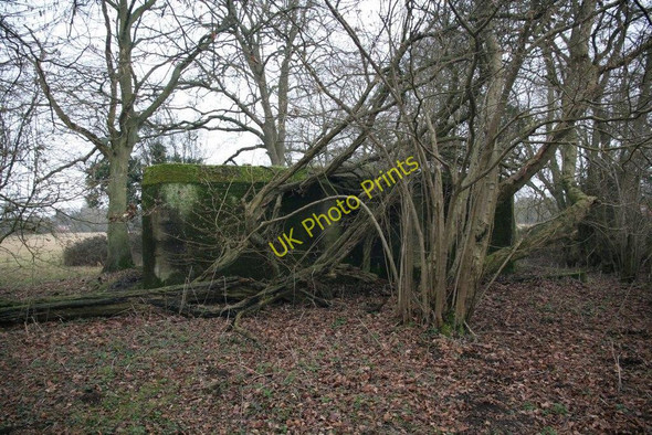 Photo 6"x4" Trees across the front Tidmarsh c2010
