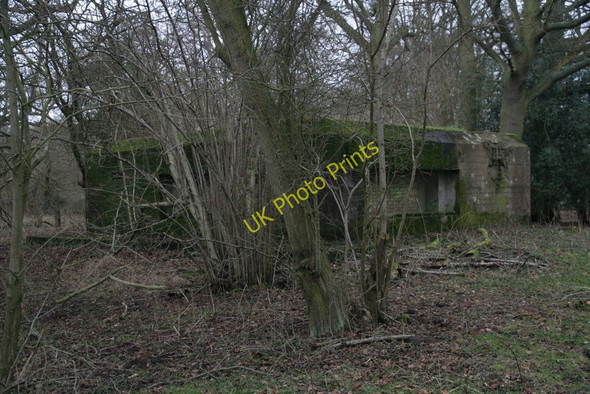 Photo 6"x4" Trees in the way Tidmarsh c2010