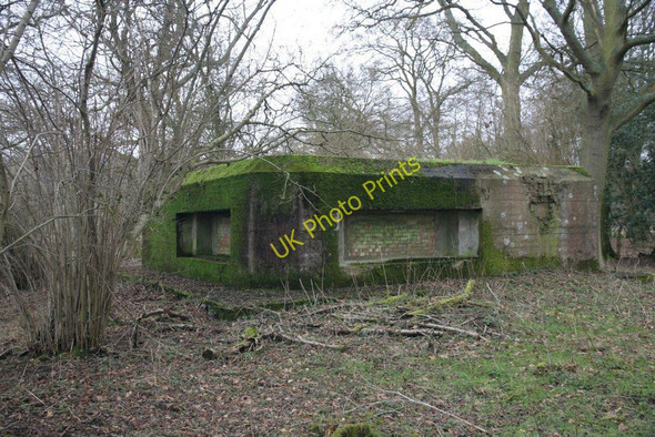 Photo 6"x4" A better view Tidmarsh c2010