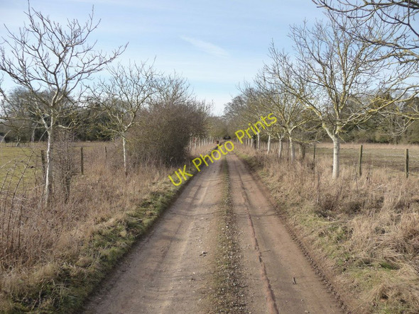Photo 6"x4" Cholderton - Footpath Cholderton c2010