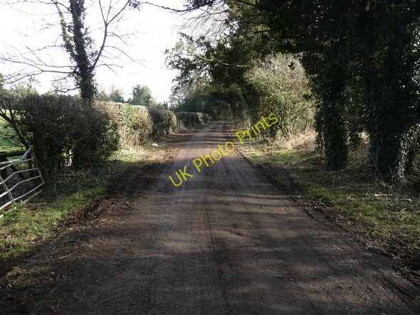 Photo 6"x4" Cholderton - Track Cholderton c2010
