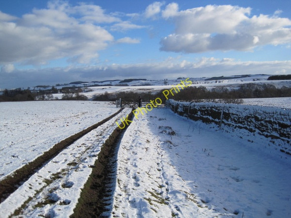 Photo 6"x4" Byway to Warks Burn from The Ash Stonehaugh c2010