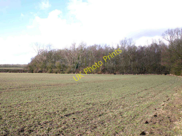Photo 6"x4" Jubilee Covert from the footpath to Beecham Farm Alderminster c2010