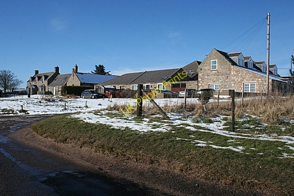 Photo 6"x4" Easter Covesea Covesea c2010