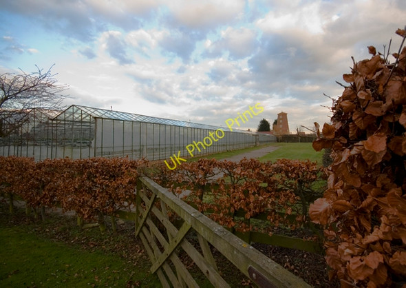 Photo 6"x4" Glasshouses and Mill, Keyingham Keyingham c2010