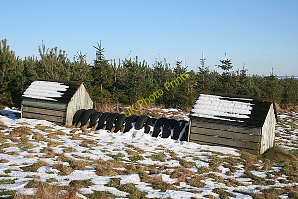 Photo 6"x4" Mystery Object Charlestown\/NJ1367 c2010