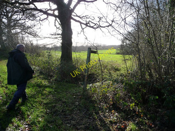 Photo 6"x4" Footpath from Trotton Road to Elsted Marsh Dumpford c2009