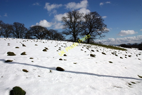 Photo 6"x4" Ant hills in the snow Chandler's Cross\/SO7738 c2010