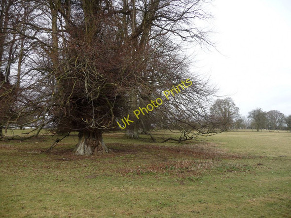 Photo 6"x4" Knights Enham - Field Knights Enham c2010