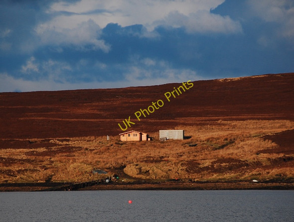 Photo 6"x4" New shelters, Fara Lyness c2010