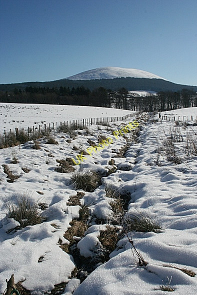 Photo 6"x4" Above Edingight Knockbog c2010