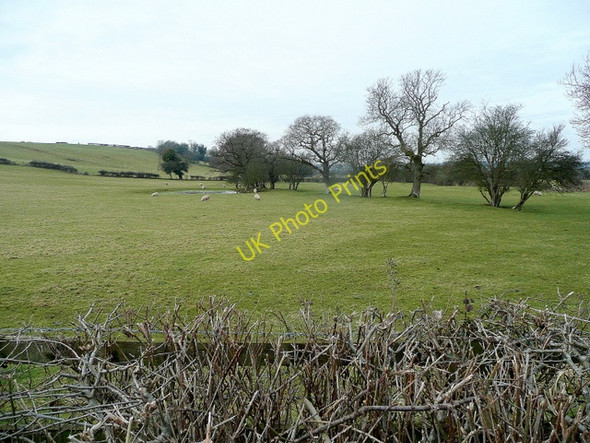 Photo 6"x4" Pasture by the Sully Brook Penarth\/ST1871 c2010