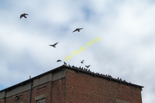 Photo 6"x4" Lift Off from Montgomery Terrace Road, Upperthorpe, Sheffield Sheffield\/SK3587 c2010