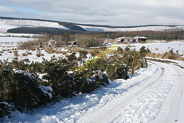 Photo 6"x4" Newton of Edingight Knockbog c2010 P1