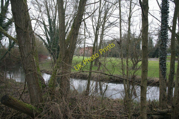 Photo 6"x4" River through the trees Pangbourne c2010