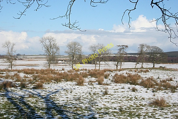 Photo 6"x4" Looking towards Glenforkie Old Cornhill c2010