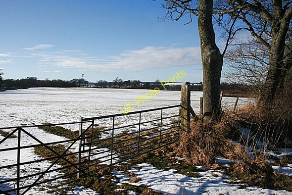 Photo 6"x4" Fields at Park Cornhill\/NJ5858 c2010
