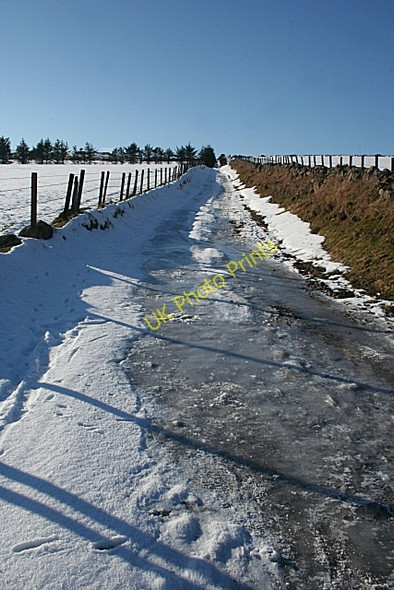 Photo 6"x4" Sheet Ice! Ramsburn c2010