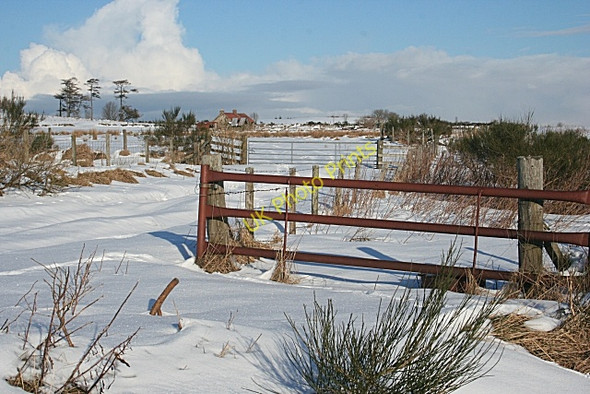 Photo 6"x4" Culvie Croft Ordiquhill\/NJ5655 c2010