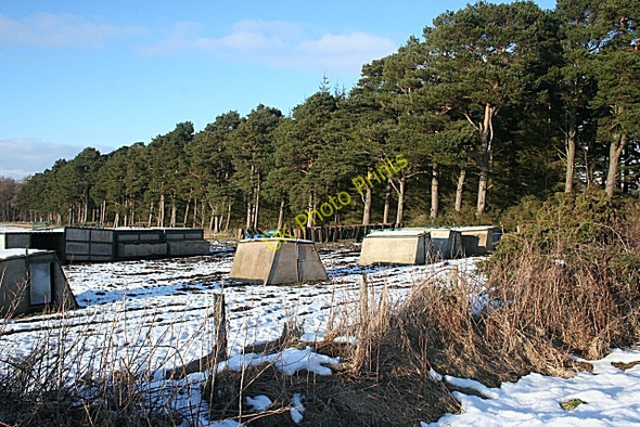 Photo 6"x4" Lower Broadrashes Berryhillock\/NJ5060 c2010