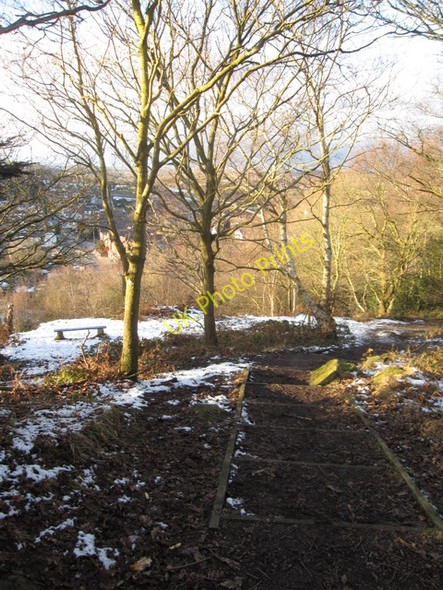 Photo 6"x4" Steps to Caergwrle Castle Caergwrle c2010