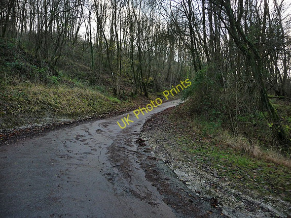Photo 6"x4" Lane up the South Downs from Treyford Treyford c2009