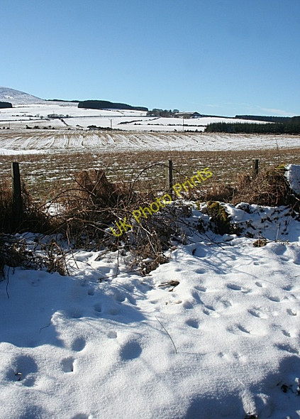 Photo 6"x4" Barnyards of Badenyouchers Gordonstown\/NJ5656 c2010