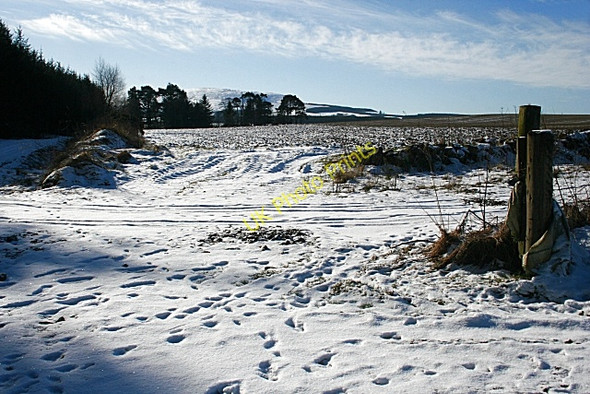Photo 6"x4" Fields near Knowiemoor Brodiesord c2010