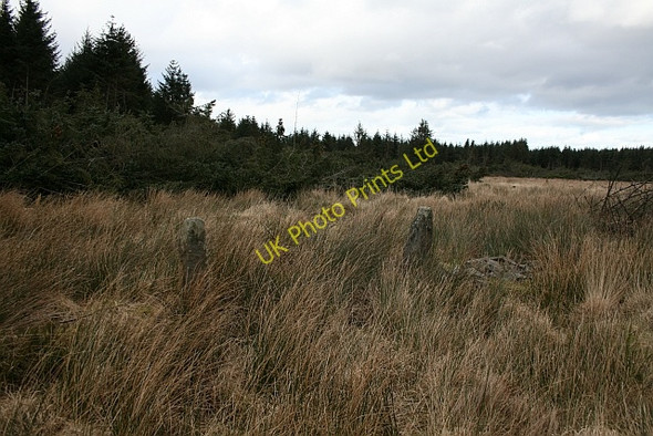 Photo 6"x4" Stone Gateposts in Cropton Forest Stape c2008