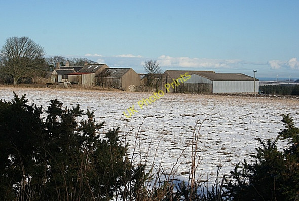 Photo 6"x4" Little Toux Brodiesord c2010