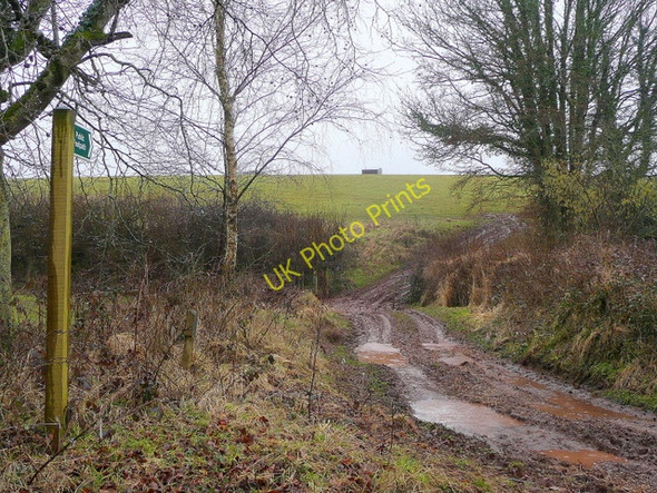Photo 6"x4" Muddy footpath and track Colebrooke\/SS7700 c2010