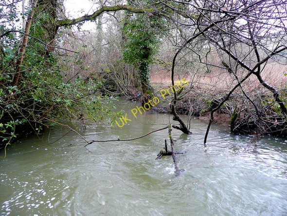 Photo 6"x4" River Troney in spate Hillerton c2010