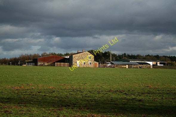 Photo 6"x4" Farm at Brown Howe (2) Stape c2008