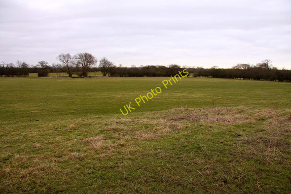 Photo 6"x4" Field near Waterperry Waterperry\/SP6206 c2010