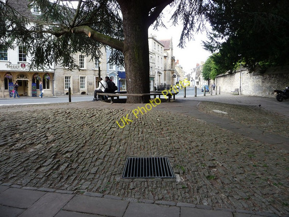 Photo 6"x4" Tree just north of church. Cirencester c2009