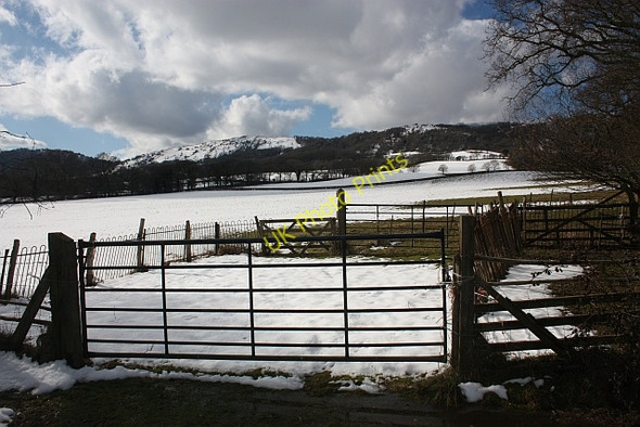 Photo 6"x4" Sheepfold on the edge of Castlemorton Common Chandler's Cross\/SO7738 c2010