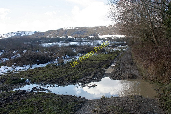 Photo 6"x4" Track along the edge of Castlemorton Common Chandler's Cross\/SO7738 c2010 P1