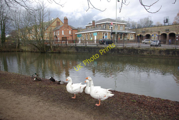 Photo 6"x4" Grand Union Canal, Berkhamsted Berkhamsted c2010