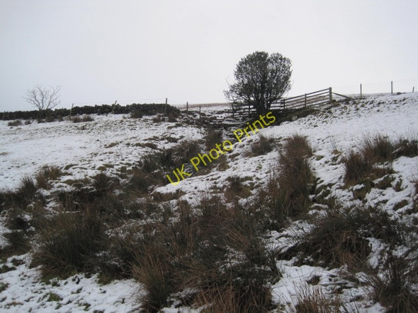 Photo 6"x4" Unnamed Burn near Tedcastle Ridley\/NY7963 c2010