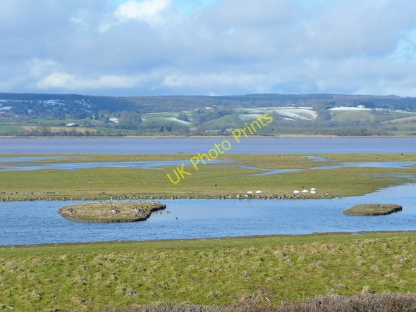 Photo 6"x4" View from the Holden Tower at Slimbridge 1 Shepherd's Patch c2010