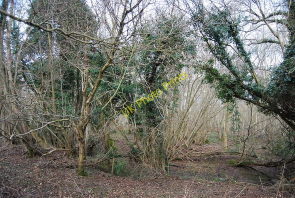 Photo 6"x4" In Line Wood Mountfield\/TQ7320 c2009