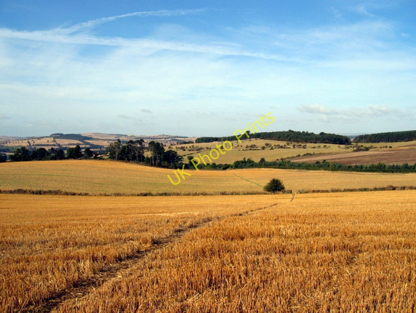 Photo 6"x4" Footpath east of Ford Ford Hill\/NT9537 c2003