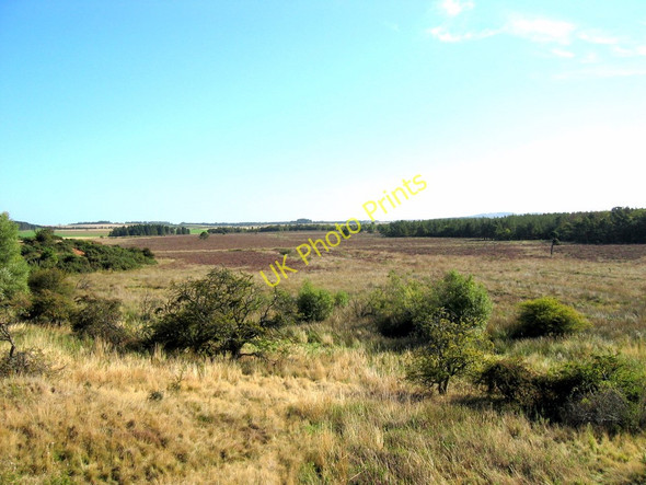 Photo 6"x4" Ford Moss Ford Hill\/NT9537 c2003